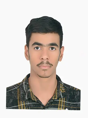 محمد علی حیدرزاده، طراح و توسعه‌دهنده وب